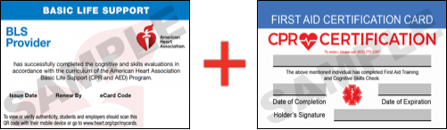 Sample American Heart Association AHA BLS CPR Card Certification and First Aid Certification Card from CPR Certification New Braunfels