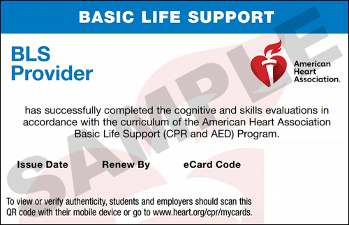 Sample American Heart Association AHA BLS CPR Card Certification from CPR Certification New Braunfels